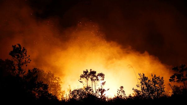 Indonesia's 'Good Palm' drive enflames anger as smoke clouds skies Indonesia's 'Good Palm' drive enflames anger as smoke clouds skies