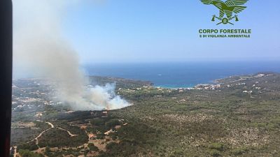 Incendi: 3 arresti in Sardegna Incendi: 3 arresti in Sardegna