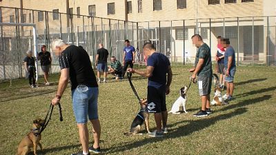 Detenuti educano cani per riabilitarsi
