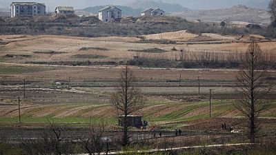 North Korea faces lowest crop harvest in five years, widespread food shortages - U.N.
