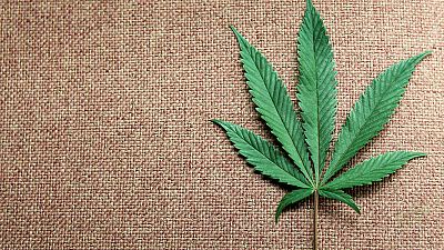 World High Life buys Britain's Love Hemp in bet on cannabis growth