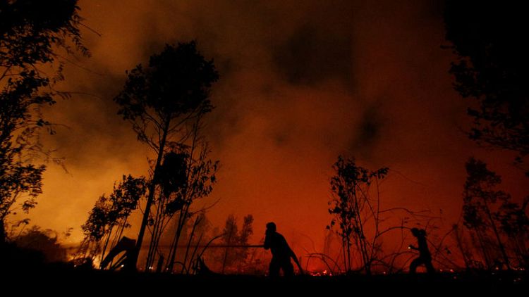 Indonesia government considering harsher punishments for forest burners