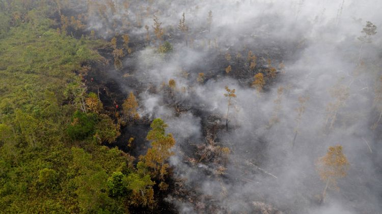 Indonesia has not imposed tough enough penalties for plantation fires - Greenpeace