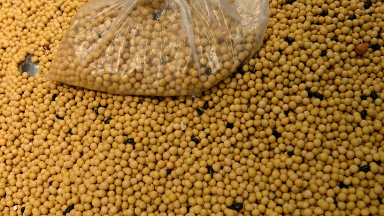 China's August soy imports from U.S. surge as cargoes clear customs