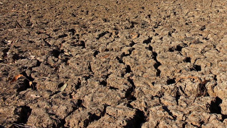 Drought-hit Australian towns prepare for 'unimaginable' water crisis