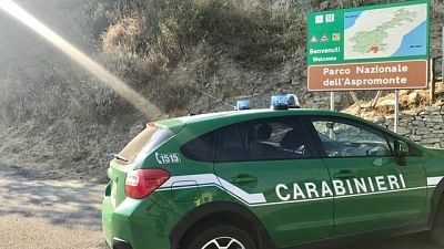 Incendio in Parco Aspromonte,un arresto Incendio in Parco Aspromonte,un arresto