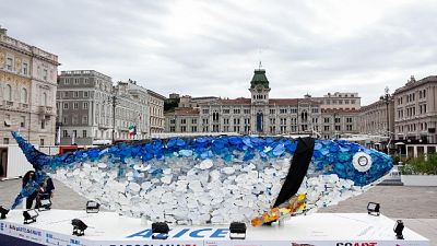 Bandiere a mezz'asta, Trieste a lutto Bandiere a mezz'asta, Trieste a lutto