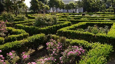 Roseto di Roma apre per nuova fioritura Roseto di Roma apre per nuova fioritura