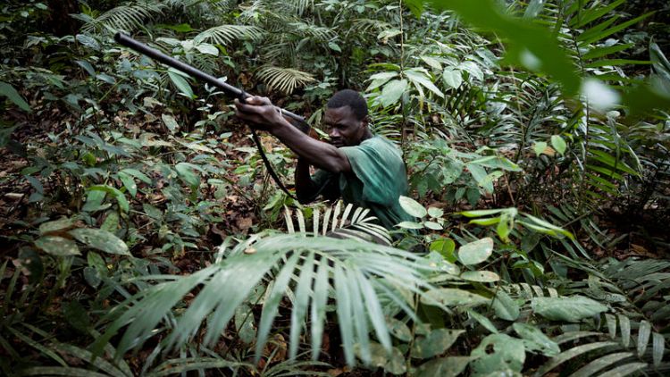 In Congo, part-time hunters boost income with bushmeat
