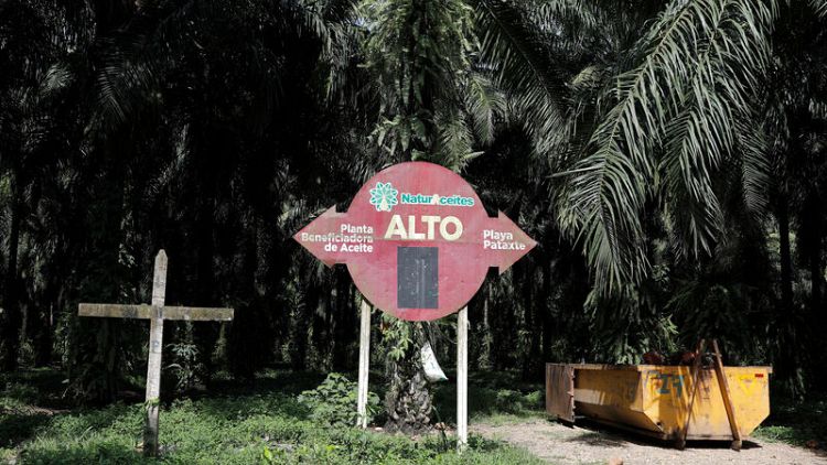 Deep in Guatemala's jungle, drugs and murder are new neighbors to palm oil