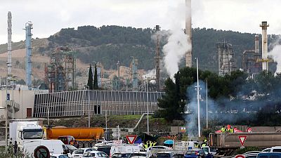 In blow to Total, France upholds law banning palm oil from biofuel scheme In blow to Total, France upholds law banning palm oil from biofuel scheme