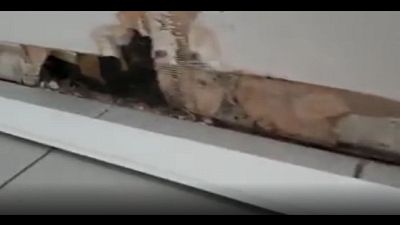 Sisma,muffa e umidità in casetta Arquata Sisma,muffa e umidità in casetta Arquata