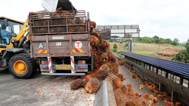 Malaysia to cut export duties for crude palm oil in 2020