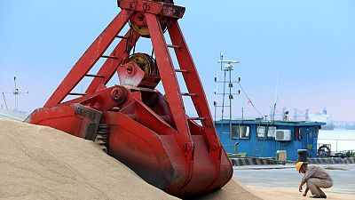 Trump's hailing of $50 billion in Chinese farm purchases seen as 'meaningless' Trump's hailing of $50 billion in Chinese farm purchases seen as 'meaningless'