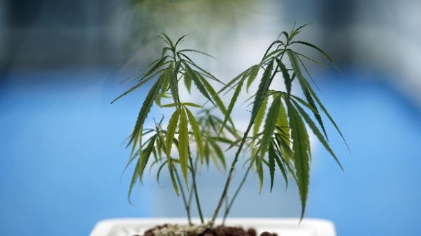 Si confessa e lascia droga al prete Si confessa e lascia droga al prete