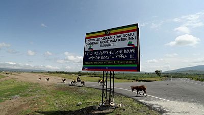 Ethiopia postpones autonomy referendum for ethnic Sidama - Fana news agency Ethiopia postpones autonomy referendum for ethnic Sidama - Fana news agency