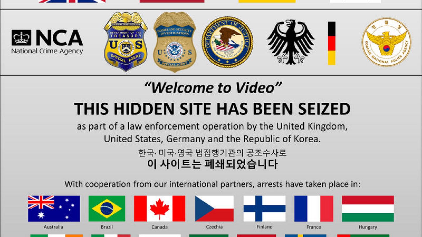 Hidden Toddler Porn - Dark web child porn bust leads to 338 arrests worldwide | Euronews