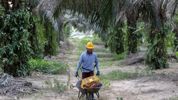 Palm oil body to wield stick to get consumer goods giants to go green