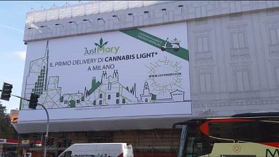 Cannabis: De Corato, assurdo cartellone Cannabis: De Corato, assurdo cartellone