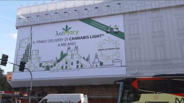 Cannabis: De Corato, assurdo cartellone Cannabis: De Corato, assurdo cartellone