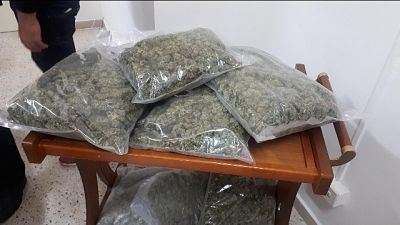 A Venosa sequestrati 118 kg di marijuana A Venosa sequestrati 118 kg di marijuana