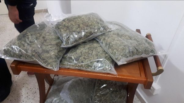 A Venosa sequestrati 118 kg di marijuana A Venosa sequestrati 118 kg di marijuana