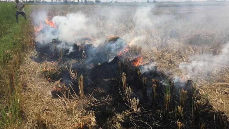 Fields of fire drive Delhi's air quality to unhealthy levels