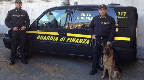 118 kg hashish e 'marija' su furgone 118 kg hashish e 'marija' su furgone