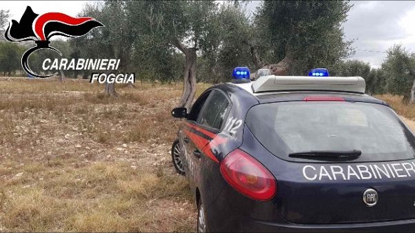 Mafia, armi e droga,arresti sul Garagano Mafia, armi e droga,arresti sul Garagano
