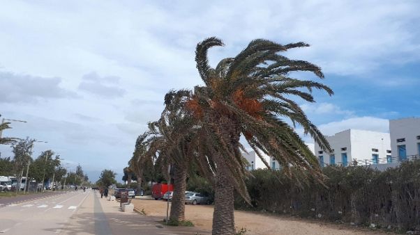 Maltempo, allerta gialla in Sardegna Maltempo, allerta gialla in Sardegna