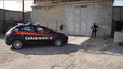 Capannone pieno di marijuana, un arresto Capannone pieno di marijuana, un arresto