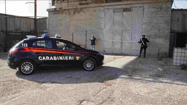 Capannone pieno di marijuana, un arresto Capannone pieno di marijuana, un arresto