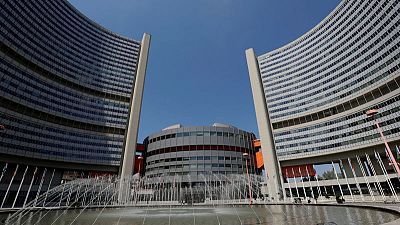 Argentina's Grossi takes lead in race to head U.N. atomic watchdog Argentina's Grossi takes lead in race to head U.N. atomic watchdog