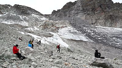Algae blooms to make glaciers melt faster than thought - scientists Algae blooms to make glaciers melt faster than thought - scientists