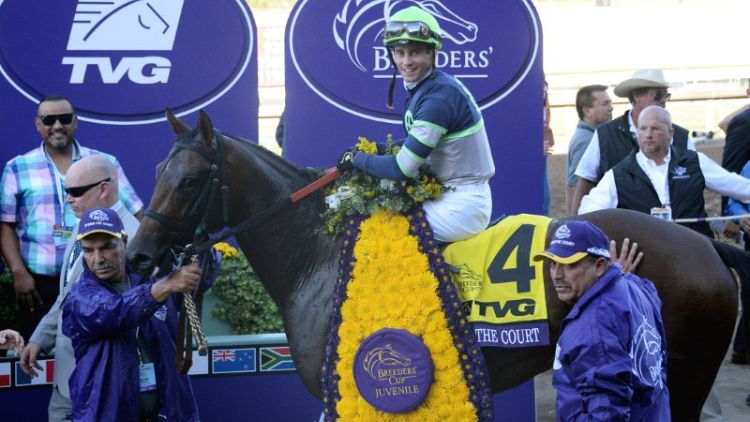 Horse racing: Storm the Court wins Breeders' Cup Juvenile in upset