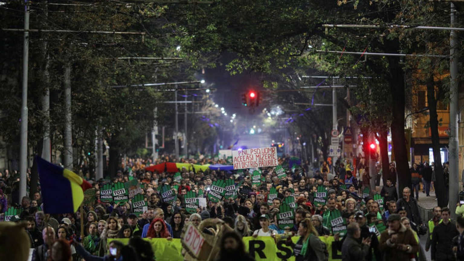 Thousands of Romanians protest against illegal logging, attacks on forest workers