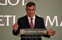 Hungary central bank head says euro a 'strategic error': Financial Times
