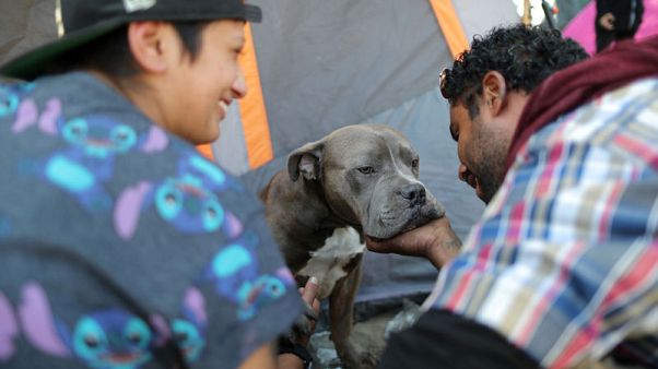 Living on the edge in the homeless encampments of Los Angeles Living on the edge in the homeless encampments of Los Angeles