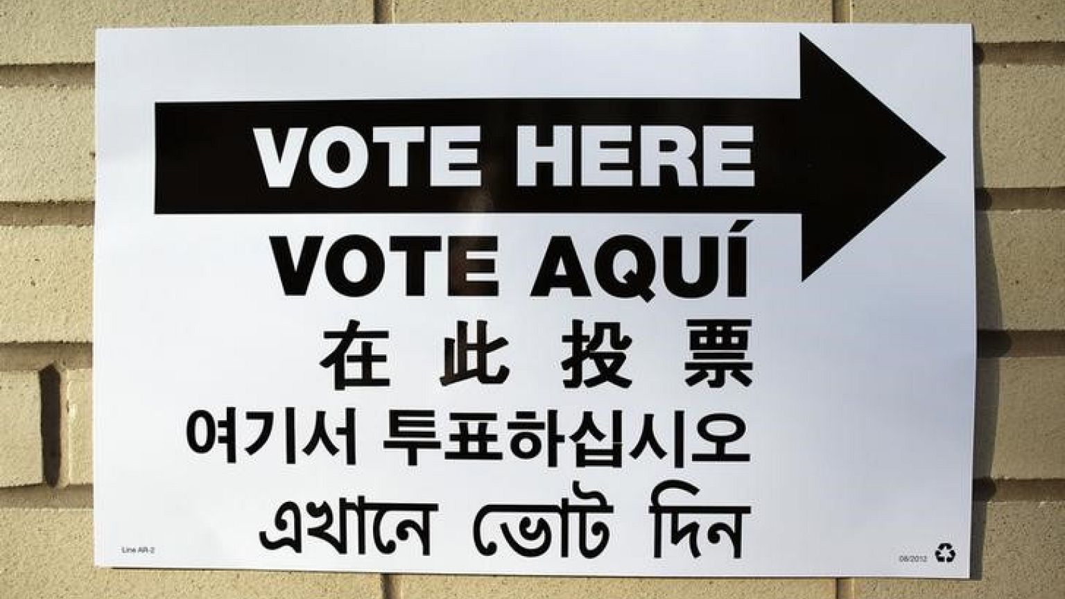 Domestic online interference mars global elections - report