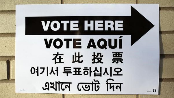 Domestic online interference mars global elections - report Domestic online interference mars global elections - report