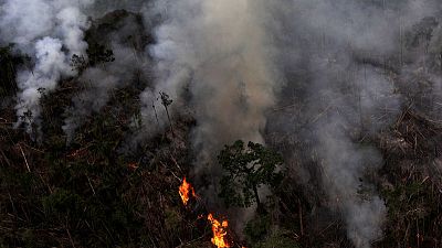 Brazil carbon emissions stable as clean energy use offsets deforestation