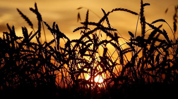World food prices rise for first time in five months - U.N. FAO World food prices rise for first time in five months - U.N. FAO
