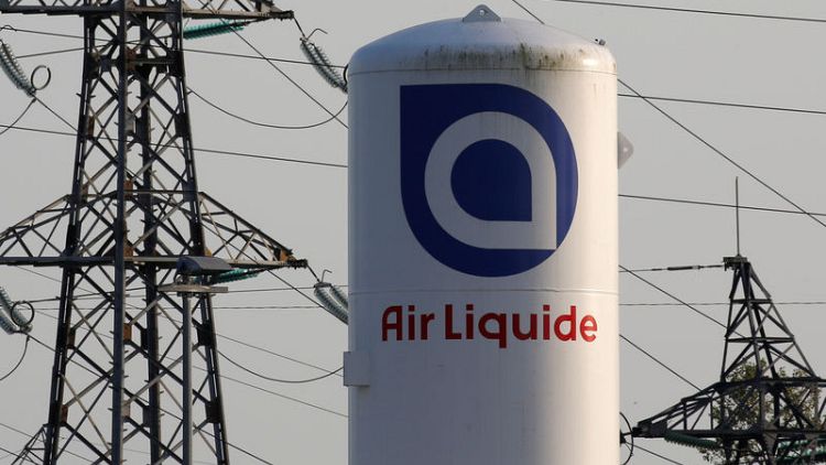 Exclusive: Air Liquide puts German disinfectants maker Schuelke on the block - sources