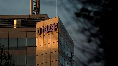 BASF invites final private equity bids for construction chems unit - sources