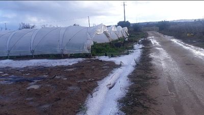Danni ingenti dopo grandinata in Salento Danni ingenti dopo grandinata in Salento