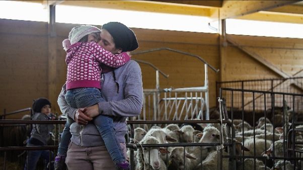 Film su sisma premiato a Festival Popoli Film su sisma premiato a Festival Popoli