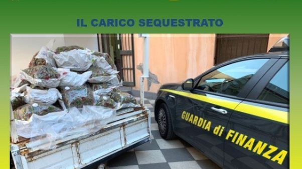 Droga:arrestato con reddito cittadinanza Droga:arrestato con reddito cittadinanza
