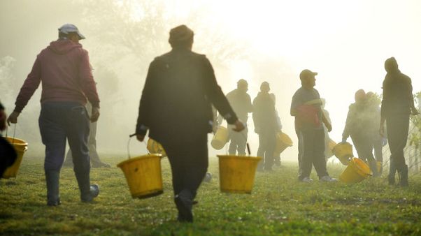 EU citizens warned over missing Brexit residency deadline EU citizens warned over missing Brexit residency deadline