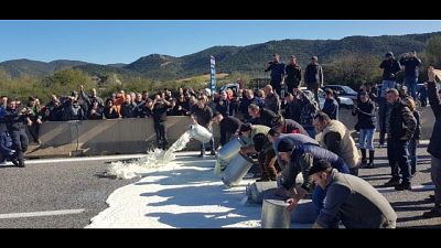 Latte: 250 pastori indagati per proteste Latte: 250 pastori indagati per proteste