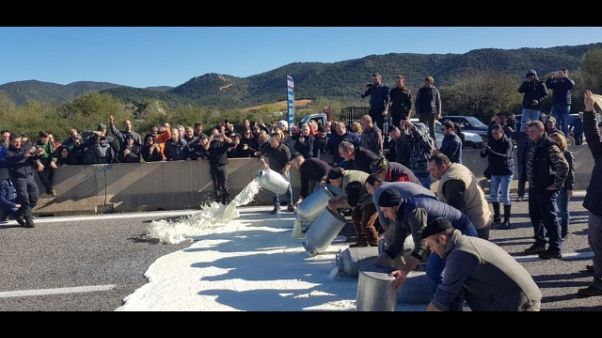 Latte: 250 pastori indagati per proteste Latte: 250 pastori indagati per proteste